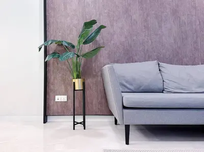a plant in a living room next to a couch at Tropicana The Residence Onebedroom suite by VVHOMESTAY in Kuala Lumpur