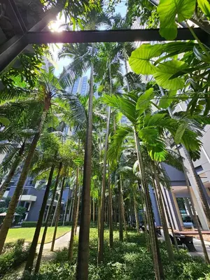 a row of palm trees in front of a building at Stylish Large 3guests 1br St Mary Residences in Kuala Lumpur