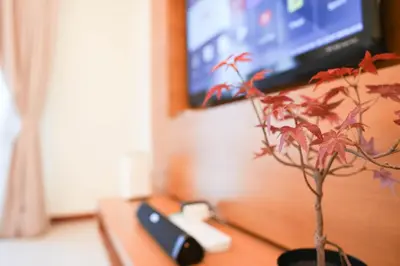 a plant sitting on a table next to a remote control at Studio, 6 Pax, 3mins to KLCC (3A01_2) in Kuala Lumpur
