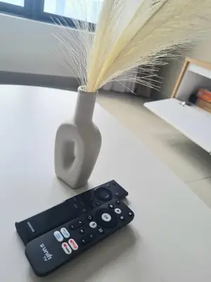 a remote control sitting next to a vase with feathers at KL View 3BedRoom 2carpark MRT Station Cheras Maluri FreeWifi C41 in Kuala Lumpur