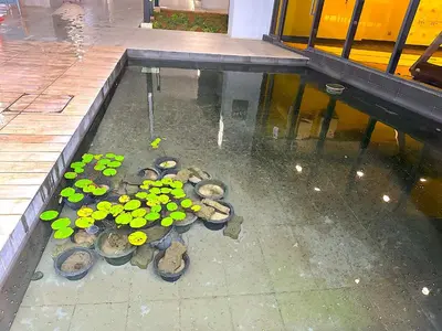 a pool of water with a plant in it at Neu Suites Junior Suite By Serenity Homes Next to Gleneagles & LRT in Kuala Lumpur