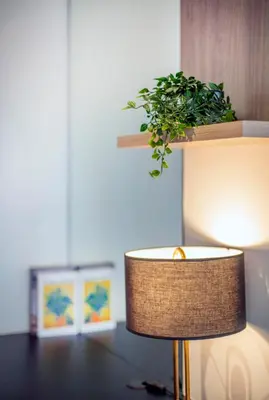 a table with a lamp and a plant on a shelf at Anggun Residence near KLCC in Kuala Lumpur