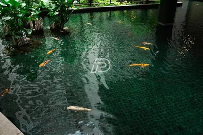 a pool of water with fish swimming in it at Best View Hostel Regalia KLCC in Kuala Lumpur