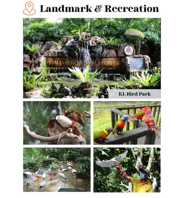 a collage of pictures of birds in a park at The Adina - Bangsar Trade Centre in Kuala Lumpur
