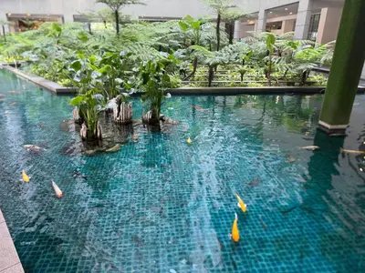 a pool of water with trees in a building at Infinity Skypool Ladies Room in Hostel in Kuala Lumpur