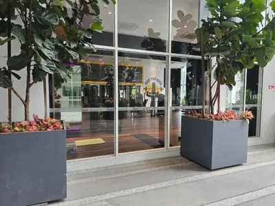 a store window with two potted trees in front of it at Quill Residence KL Suites in Kuala Lumpur