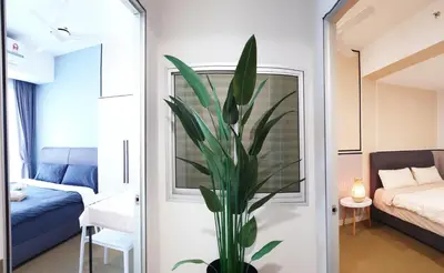a plant in a room with a bedroom at KL Mont Kiara The Ooak Entire Unit in Kuala Lumpur