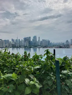 a view of a city from the water with plants at #KLCC#LRT#Datum#Jelatek#Shopping #Internet 4G-5G in Kampong Datok Keramat