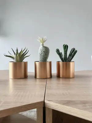 three potted plants sitting on top of a wooden table at Netflix - City View Pano Studio with Skypool, Free parking and 5 mins to MRT in Kuala Lumpur