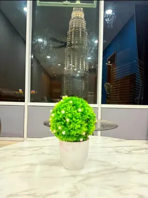 a potted plant sitting on a table in front of a building at Luxury Home Stay by FNF suites in Kuala Lumpur