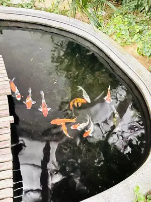 a pond filled with kites in a garden at KLCC Service Suites at Mews in Kuala Lumpur