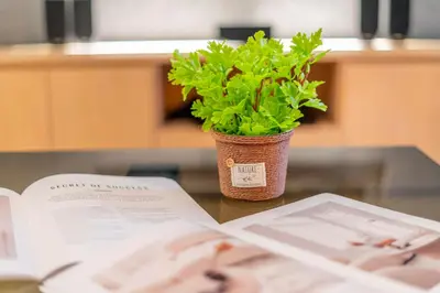 a plant sitting on a table next to a book at 188 Suites near KLCC with Parking and Bathtub in Kuala Lumpur
