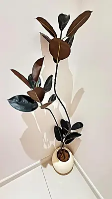 a plant in a white vase sitting on the floor at Majestic Residence Suites KLCC in Kuala Lumpur