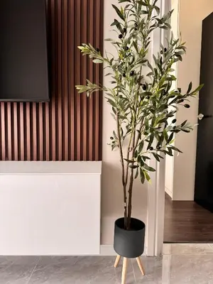 a plant in a black pot in a room at Luxury Sky Homes with KLCC VIEW in Kuala Lumpur