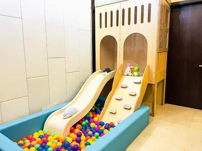 a play room with a slide and balls at KidsCastle Dorsett Pavillion in Kuala Lumpur