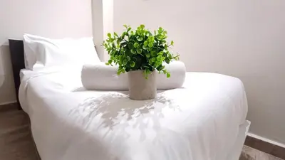 a potted plant sitting on top of a bed at Swing and Pillows - ICC Pudu Kuala Lumpur in Kuala Lumpur