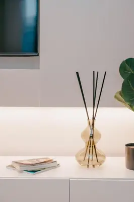 a vase with sticks in it sitting on a shelf at Cozy Minimalist Studio KL, Agile Residence Bukit Bintang in Kuala Lumpur