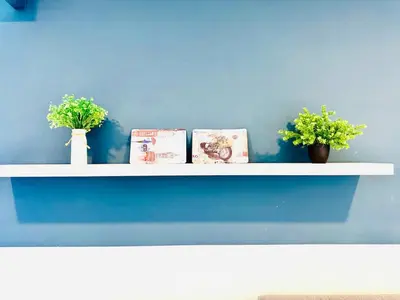a shelf with three potted plants on a blue wall at Robertson Residence by Aspire Suites in Kuala Lumpur
