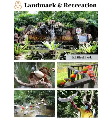 a collage of pictures of birds in a park at The Parkville - Bangsar Trade Centre in Kuala Lumpur