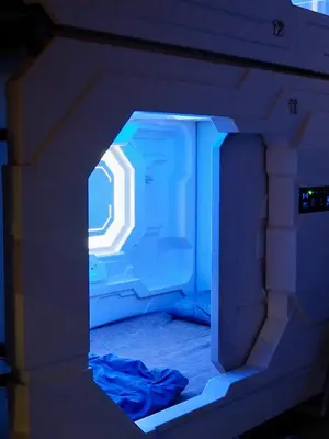 an inside view of a room with an iguana at Bestow Capsule Hostel in Kuala Lumpur